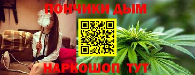 гидра Гай