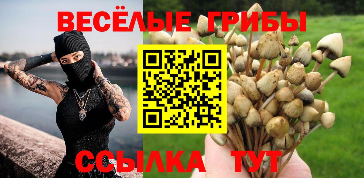 Галлюциногенные грибы GOLDEN TEACHER Ревда