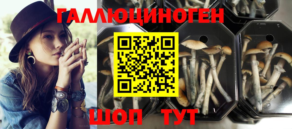 Галлюциногенные грибы прущие грибы  где купить наркотик  Ревда  Вход с VPN 